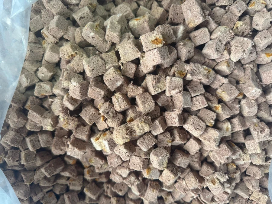 Freeze-dried Duck & Pumpkin Bites — supplied product photo